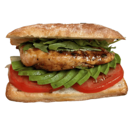 Teriyaki Grilled Chicken